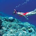 Des séjours de plongée au Vietnam en tout sécurité