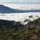 À la découverte du Timor oriental