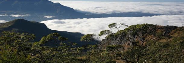 À la découverte du Timor oriental