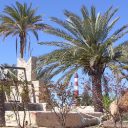 Séjourner à Djerba à moindre coût