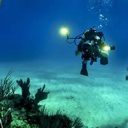 Découvrir la plongée au cœur des Bahamas