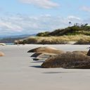 Road trip en Tasmanie