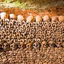 Une visite intrigante de Paris