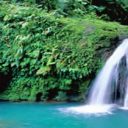 Visitez l’ile de Guadeloupe