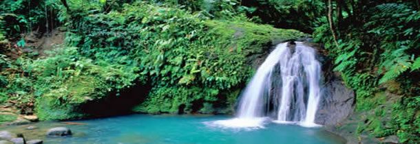 Visitez l’ile de Guadeloupe