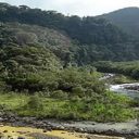 Voyage au Costa Rica, un pays référence en écotourisme