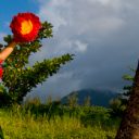 Hawaï, top 5 des activités à faire