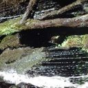 Voyage au cœur de l’Auvergne