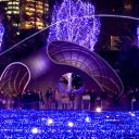 Voyager au Japon en hiver, une expérience inoubliable