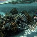 Profiter des vacances pour débuter en snorkeling