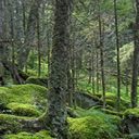 2 activités à faire dans le Vermont aux USA