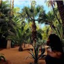 Il n’y a pas mieux qu’un séjour à Marrakech