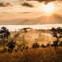 Partir en voyage safari en Afrique du Sud : parcours conseillés