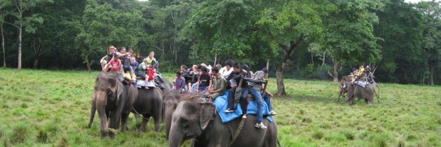 Le parc national de Chitawan : une randonnée inoubliable au cœur de la jungle