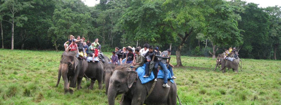 Le parc national de Chitawan : une randonnée inoubliable au cœur de la jungle