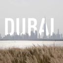 Les raisons qui vous pousseront à découvrir Dubaï