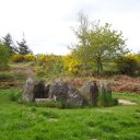 Partir à la découverte de la forêt de Brocéliande en Bretagne