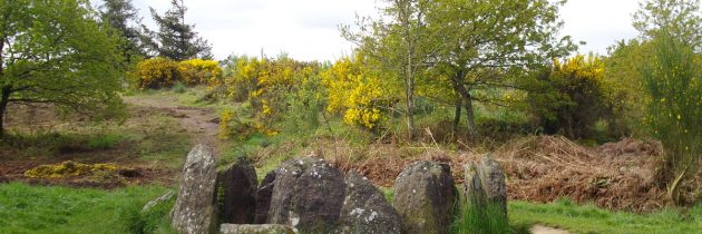 Partir à la découverte de la forêt de Brocéliande en Bretagne