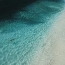 Voyage en Australie : un livre qui donne des idées d’excursions originales