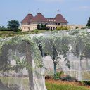 Le tourisme vert, une bonne idée de vacances