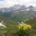 Escapade à Liechtenstein : que voir et que faire en été ?