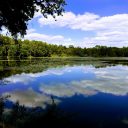 3 bonnes raisons de visiter la région de Sologne lors d’un séjour en France