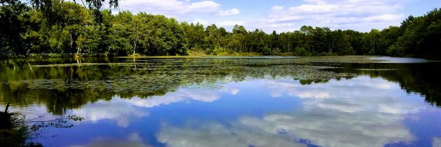 3 bonnes raisons de visiter la région de Sologne lors d’un séjour en France