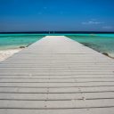 Location de voitures Martinique : une bonne affaire