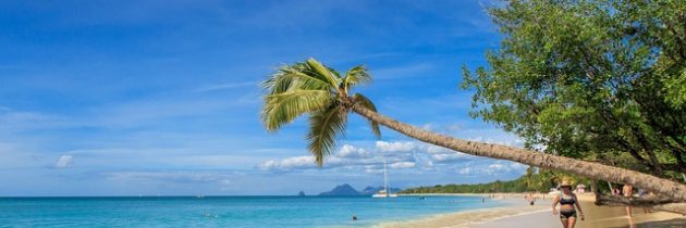 Voyagez en famille sur une île paradisiaque