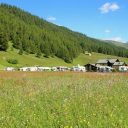 Voyager en camping-car au printemps