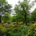 Séjour en Suède : à la découverte de la ville de Göteborg