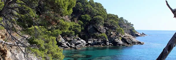 Les 5 bonnes raisons de visiter les calanques