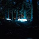 Île d’Oléron et camping : l’alternative très plébiscitée par les français