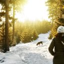 Comment faire garder votre chien pendant votre voyage ?