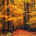 Colonie de vacances : quel type de séjour choisir ?