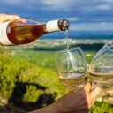 Afrique du Sud : envisageriez-vous de faire la route des vins ?