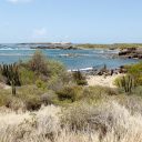 Vacances en Martinique: la destination parfaite pour la famille