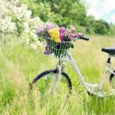 Ecologiques et sportives, les vacances à vélo deviennent tendance