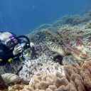 Que faire lors d’un voyage aux Philippines ?