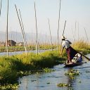 Voyage en Birmanie : à la découverte des remarquables attraits du lac Inle
