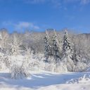 4 bonnes raisons de visiter Gérardmer cette année !