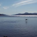 Partir en Écosse : les lieux d’intérêt à ne pas manquer dans les Highlands