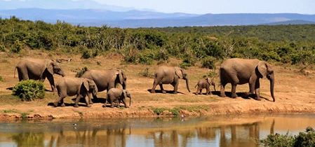 Réaliser un voyage de luxe en Afrique du Sud