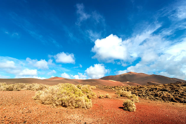 canaries paysage