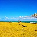 Vacances en Guadeloupe : Ce que l’on peut découvrir en une semaine