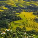 Séjour au Vietnam : vivre de belles expériences à Sa Pa