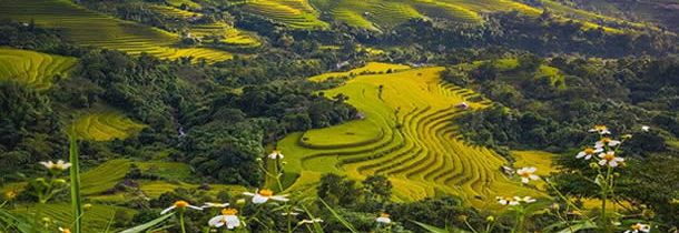 Séjour au Vietnam : vivre de belles expériences à Sa Pa