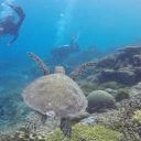 2 bienfaits des voyages de plongée pour la santé