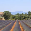3 raisons de réserver votre location vacances avec Plaisirs et Maisons de Provence
