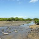 Top 4 des activités à faire à Abu Dhabi